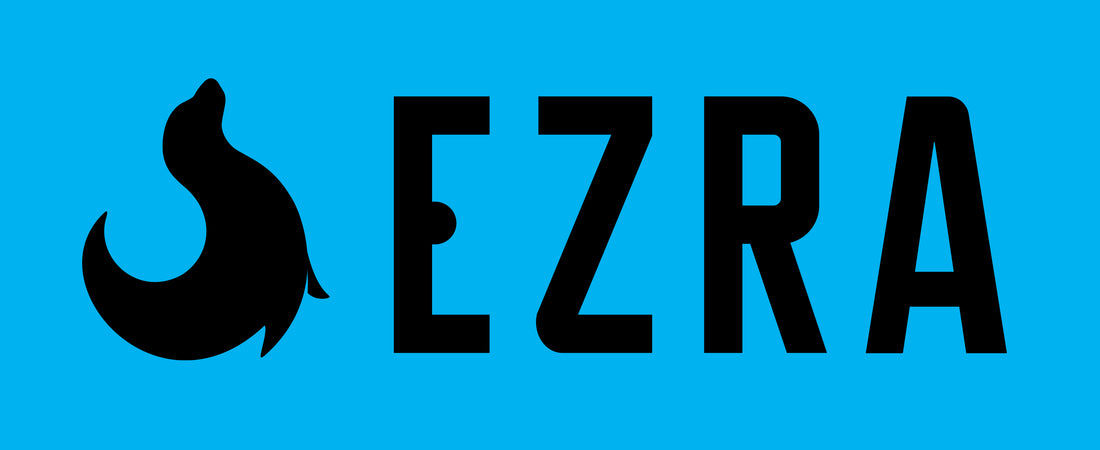 EZRA logo wordmark on branded blue background